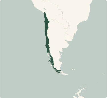 Mappa del tour di Cile