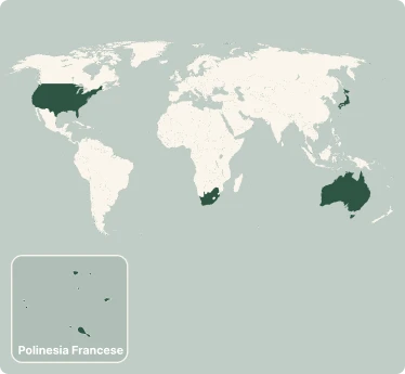 Mappa del tour di Giro del mondo Los Angeles, Polinesia, Sydney, Giappone e South Africa