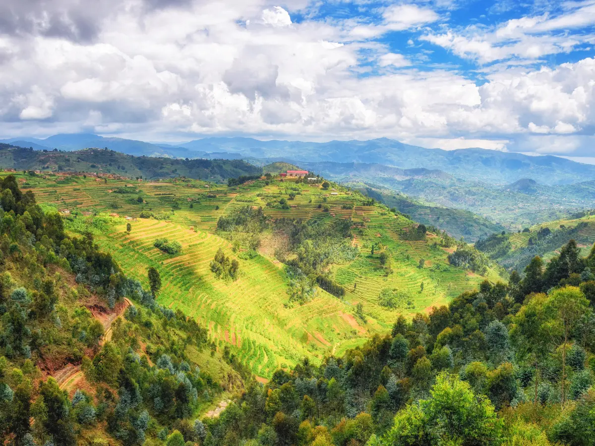le mille colline del rwanda