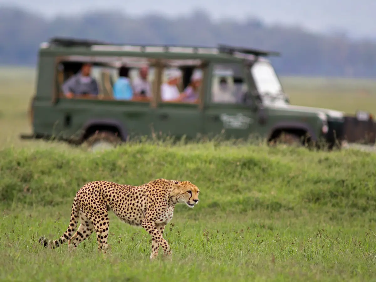 safari esclusivi in rwanda
