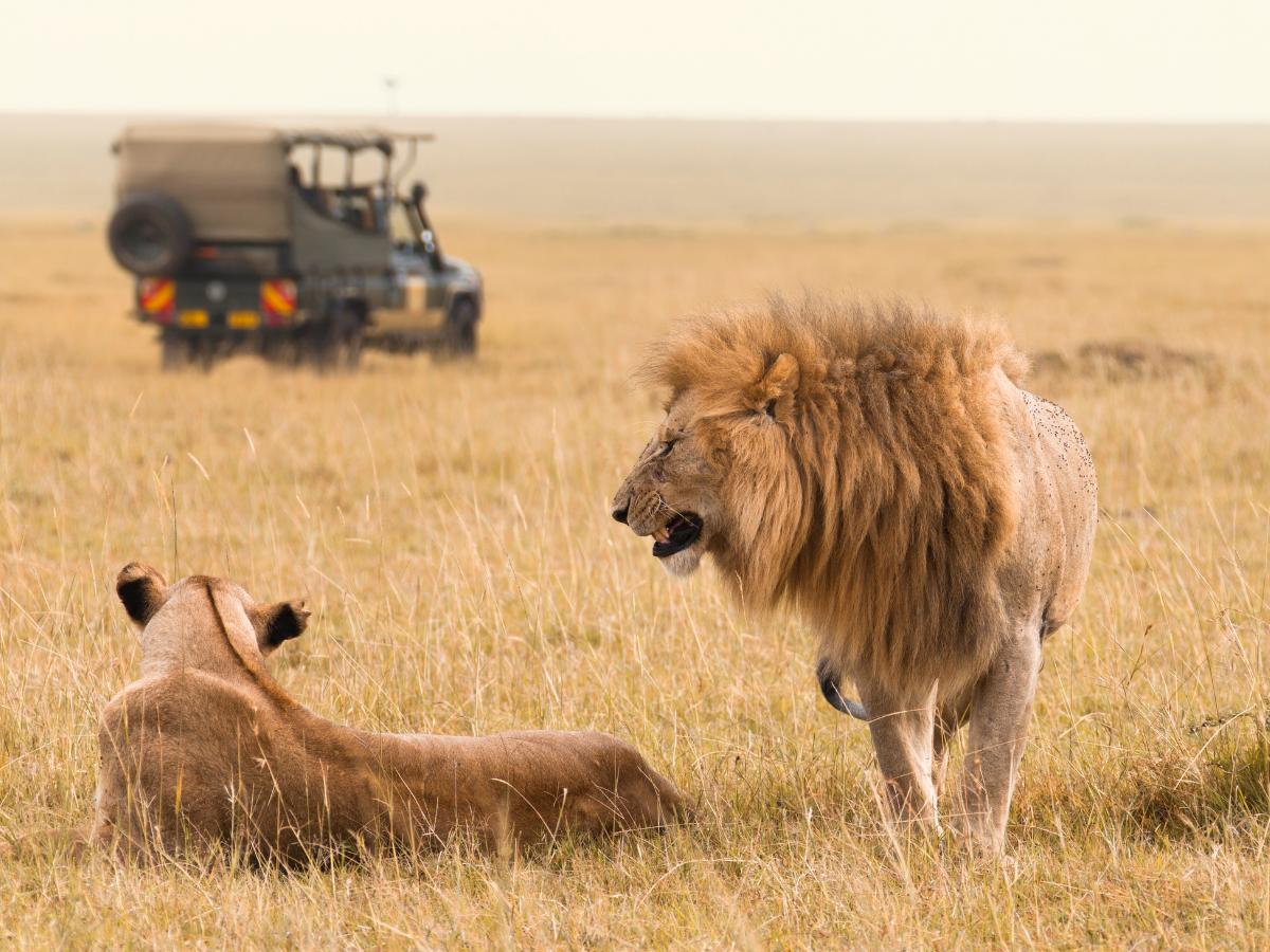 safari esclusivi e privati sudafrica