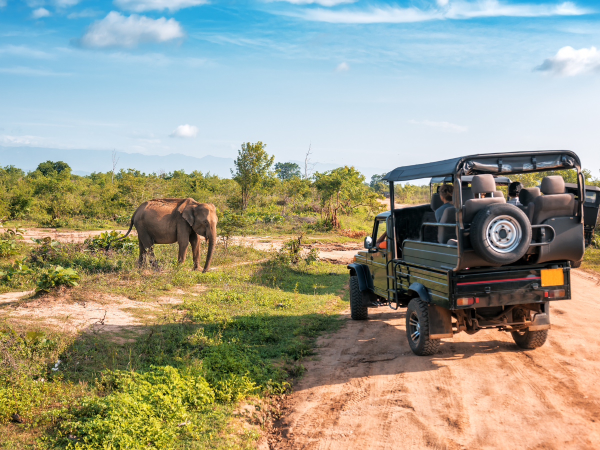safari lusso sudafrica