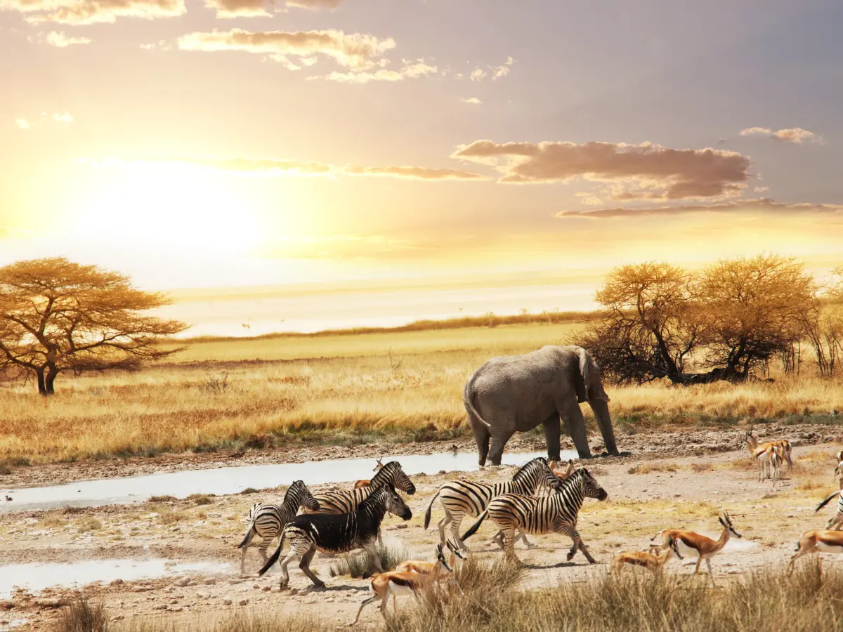 parchi nazionali e riserve naturali per safari in kenya
