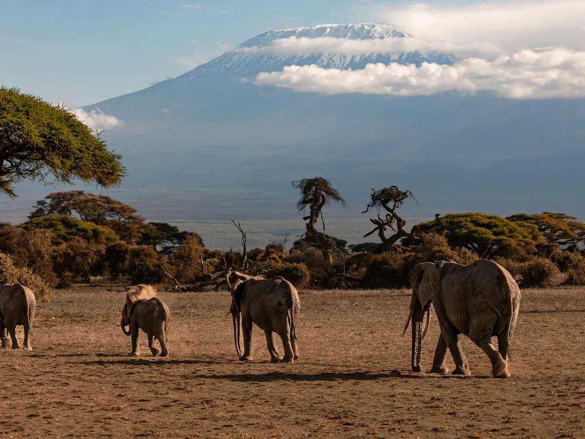 safari sostenibile in kenya