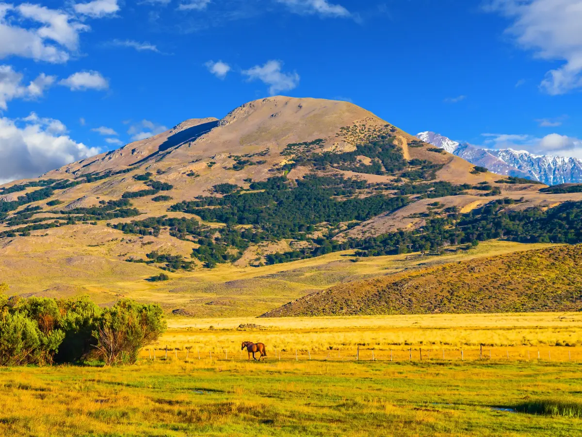 la steppa della patagonia argentina