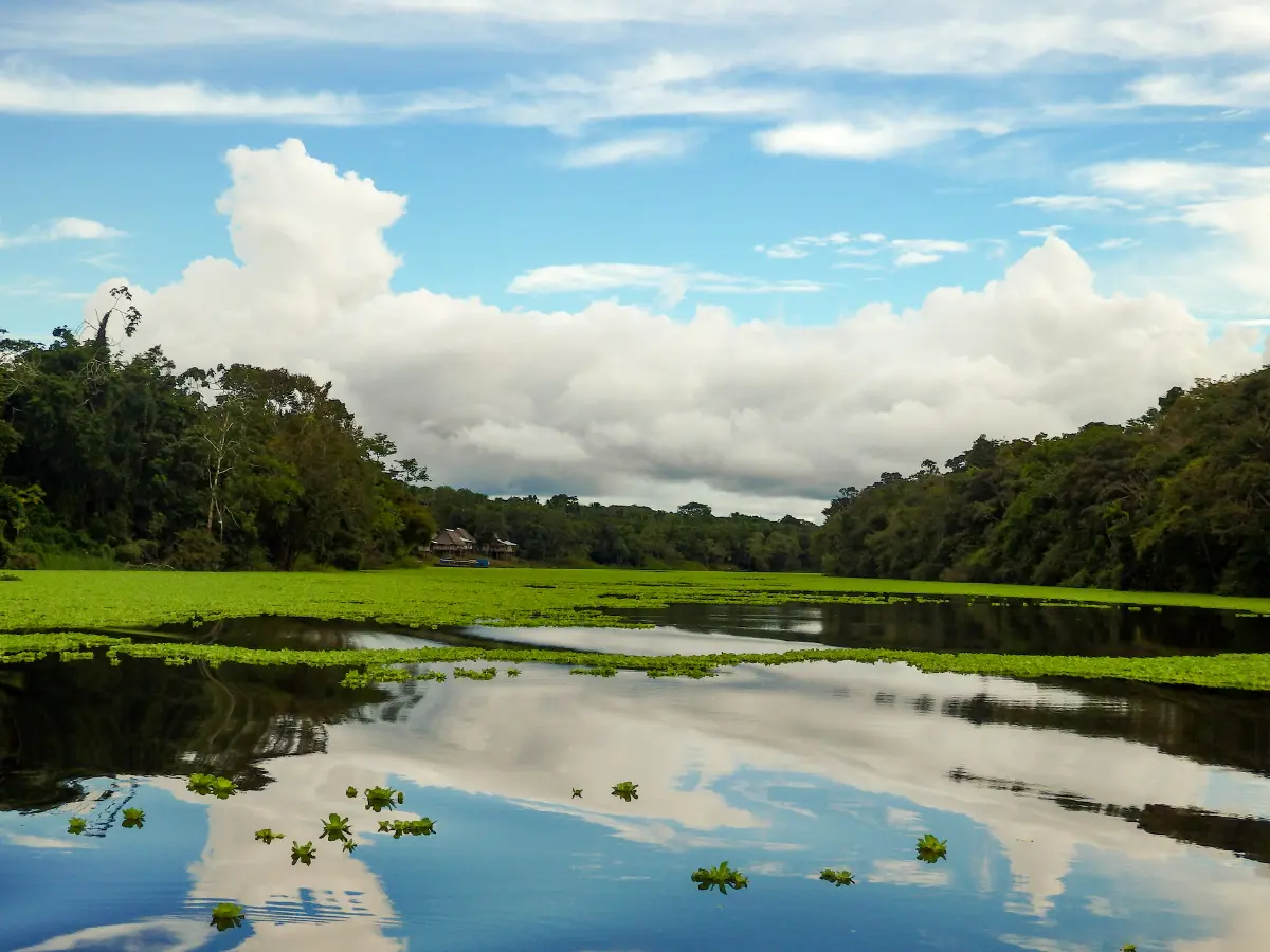 tour in amazzonia peruviana per un viaggio di lusso in perù
