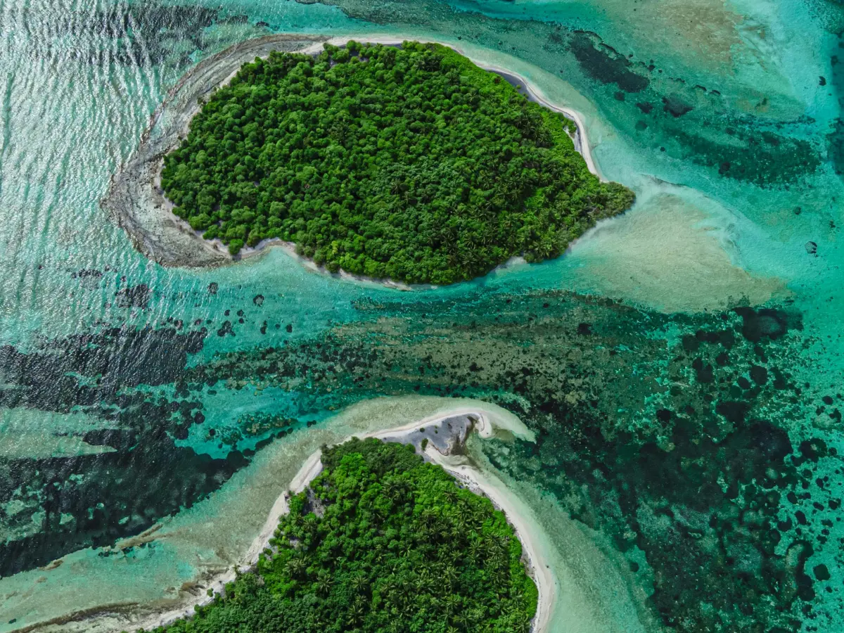 ecostistema corallino delle Whitsundays Islands Australia