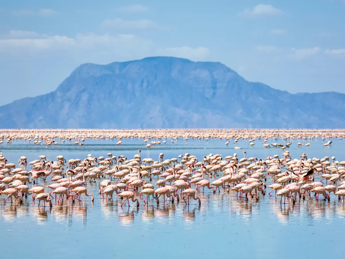 esperienze esclusive a lake natron in tanzania