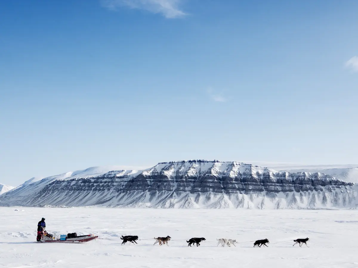 Svalbard viaggio organizzato