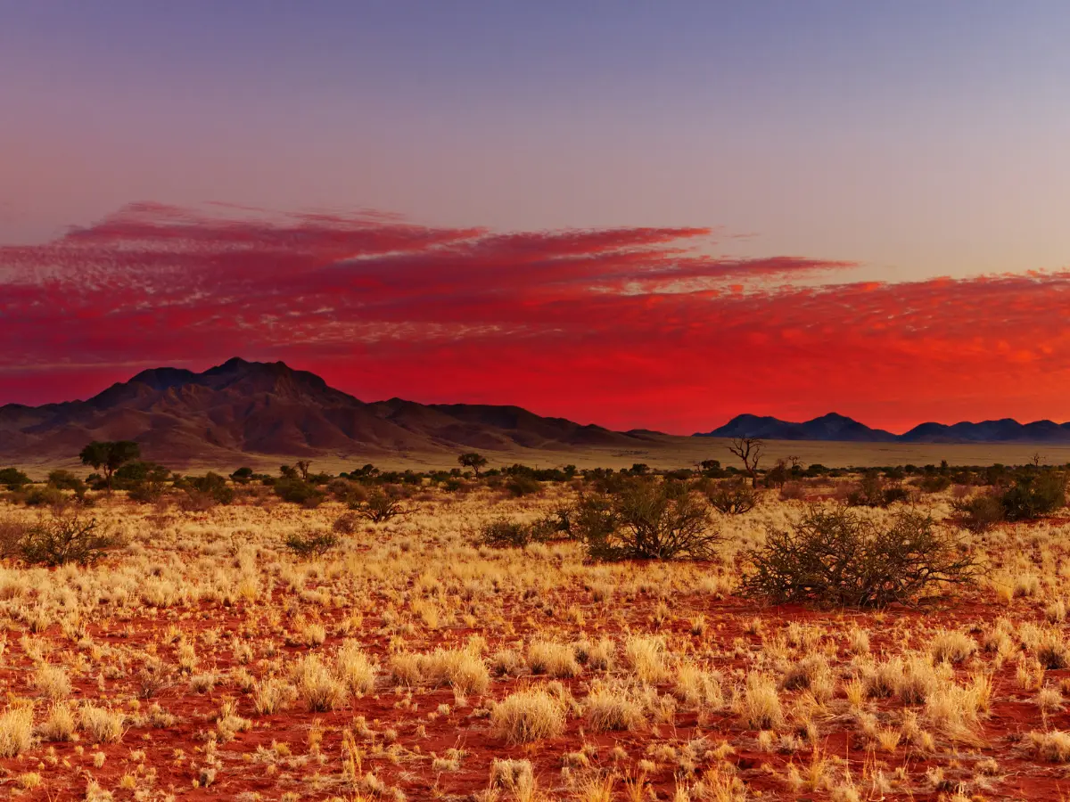 deserto del kalahari per viaggio in botswana