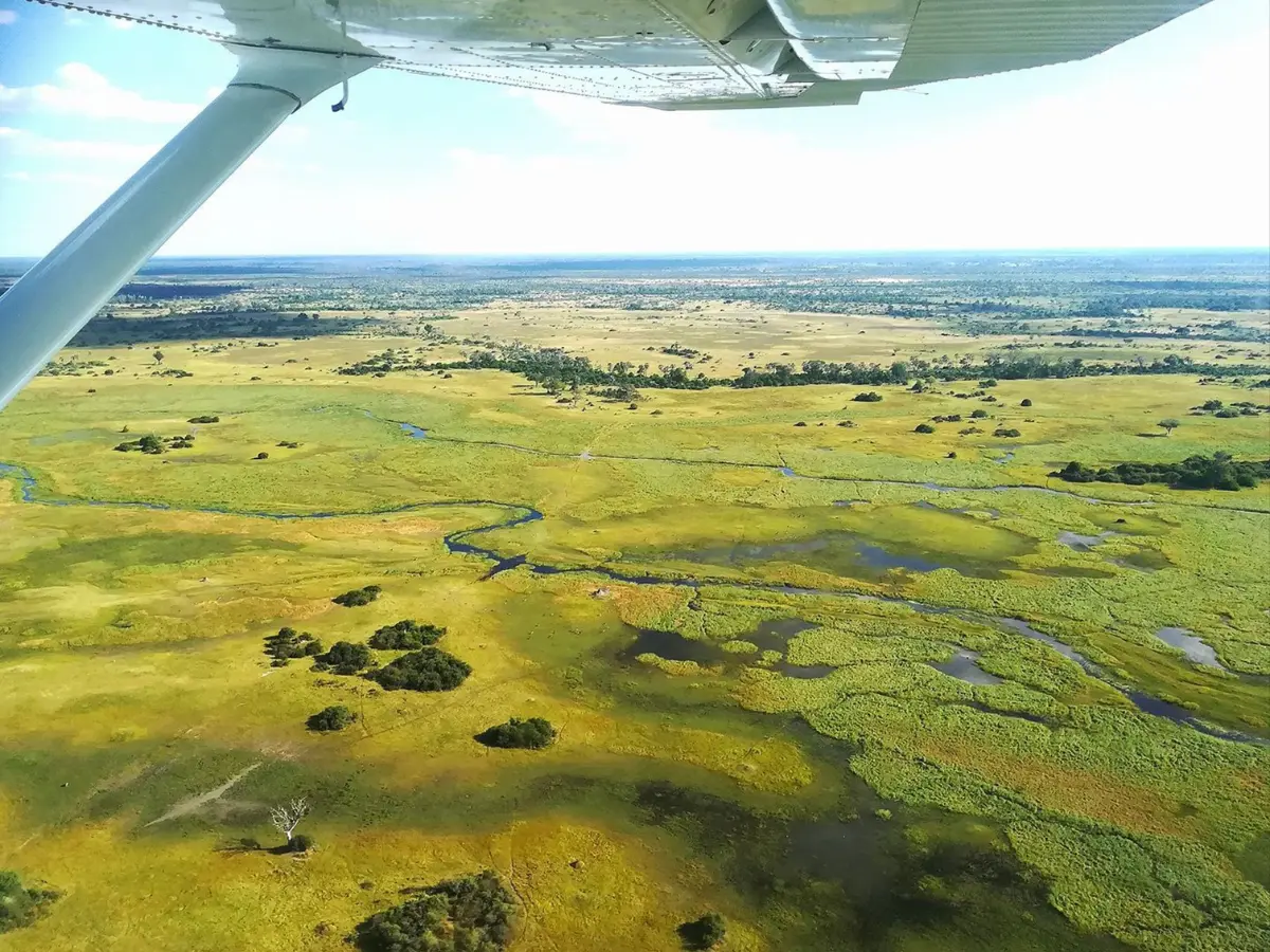 esperienze esclusive per un viaggio di lusso in botswana