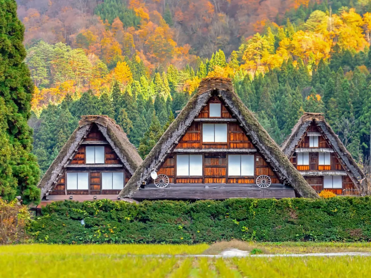 giappone autunno viaggio su misura